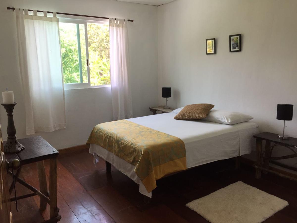 Casa Guacamaya 호텔 팔렝케 외부 사진