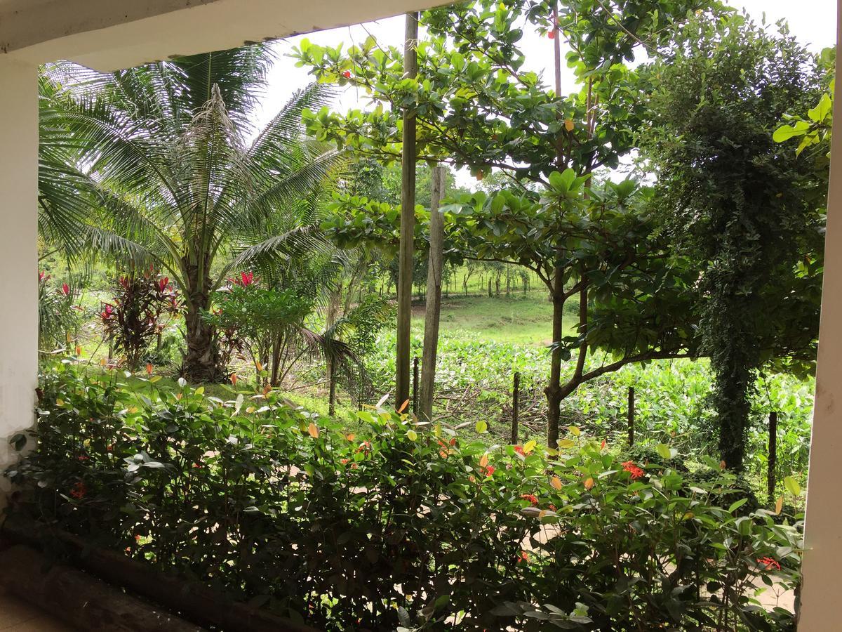 Casa Guacamaya 호텔 팔렝케 외부 사진