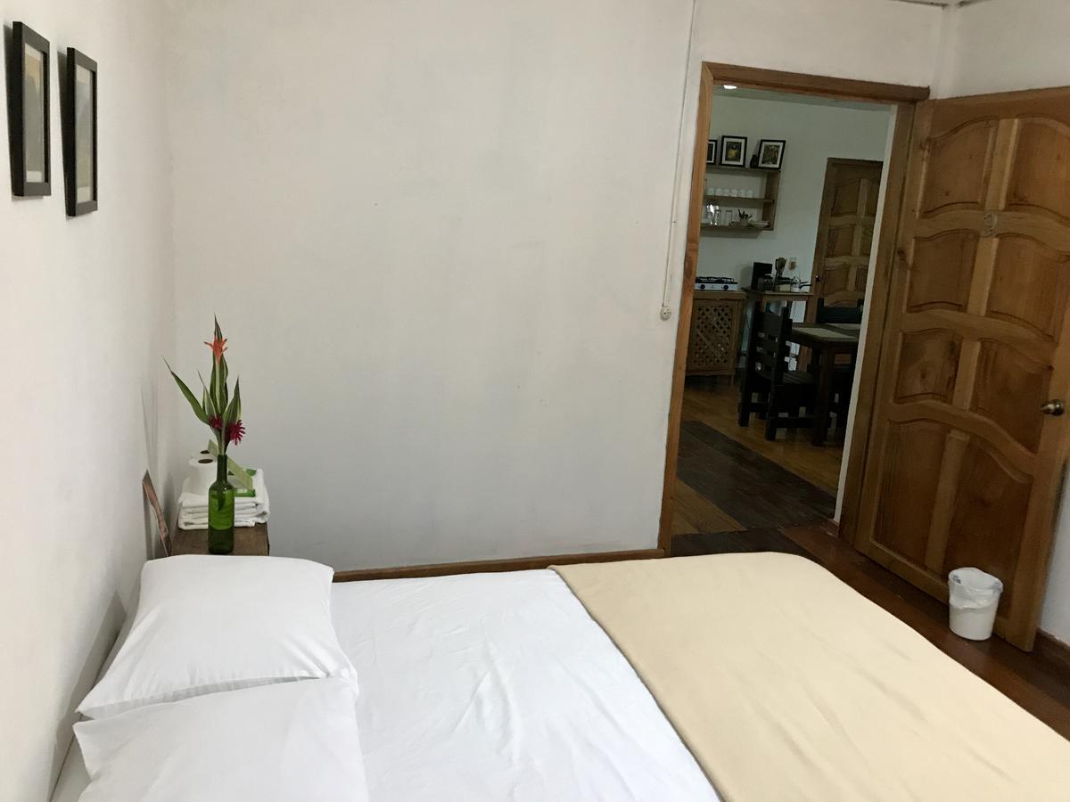 Casa Guacamaya 호텔 팔렝케 외부 사진