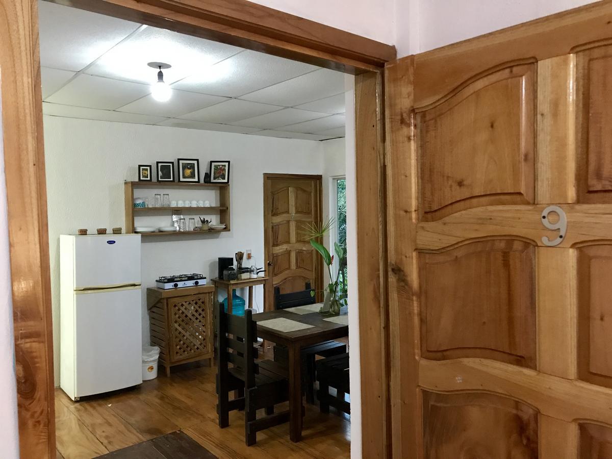 Casa Guacamaya 호텔 팔렝케 외부 사진